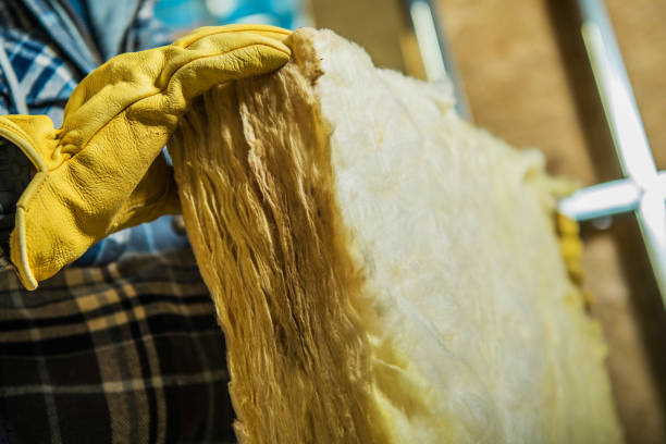 Best Insulation Maintenance and Repair in Holton, KS